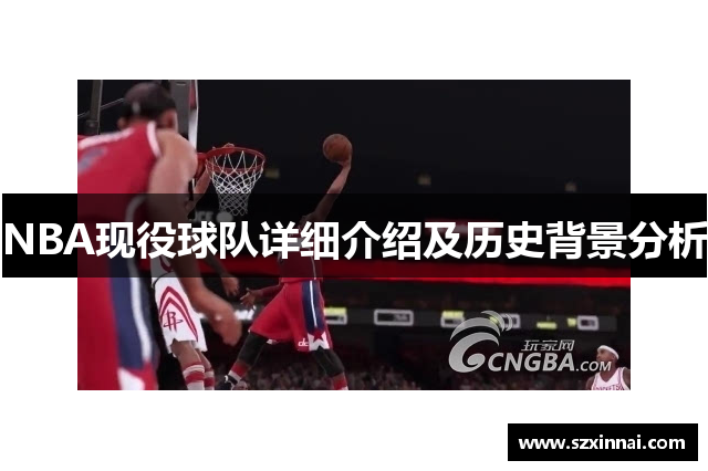 NBA现役球队详细介绍及历史背景分析