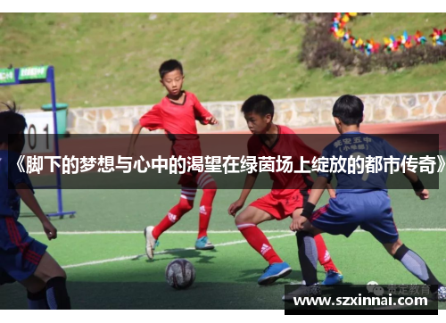 《脚下的梦想与心中的渴望在绿茵场上绽放的都市传奇》
