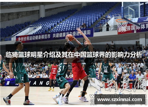 临猗篮球明星介绍及其在中国篮球界的影响力分析